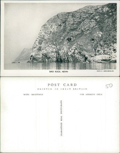 Bird rock nevin - rock,