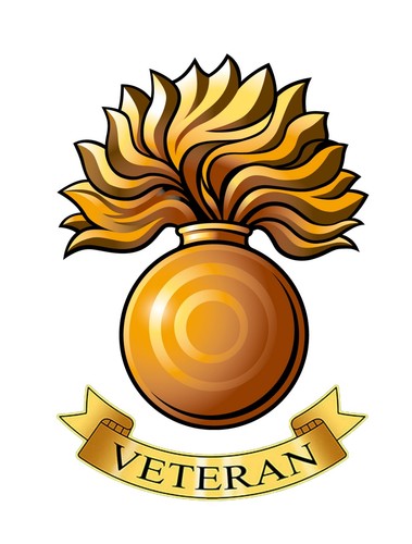 Grenadier guards veteran - guards,