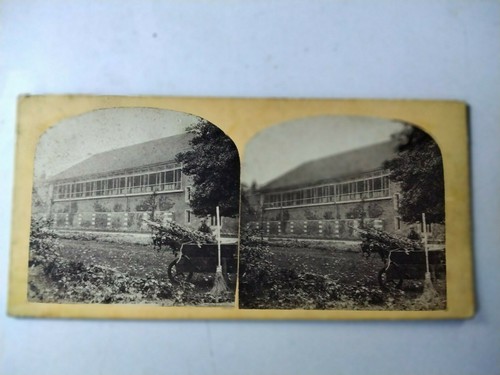 Victorian stereograph showing - stereograph,