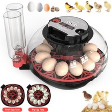 Incubators for Hatching Eggs