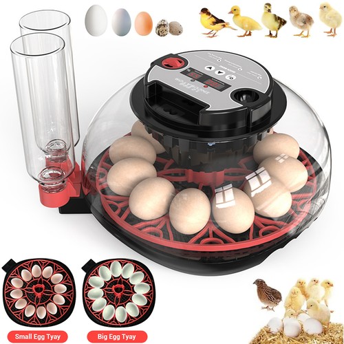 Digital egg incubator - digital,