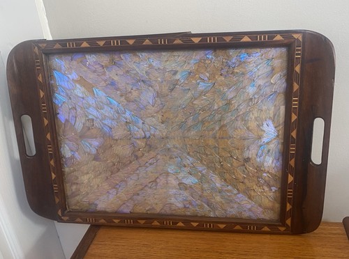 Antique butterfly wing wooden