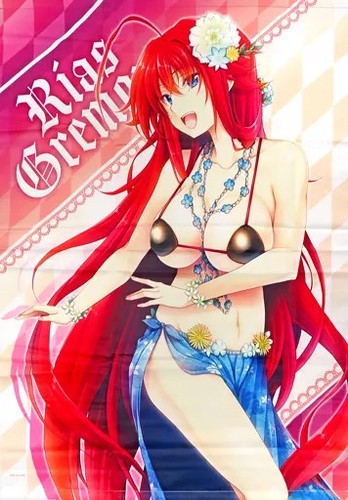 Rias gremory high school - rias,