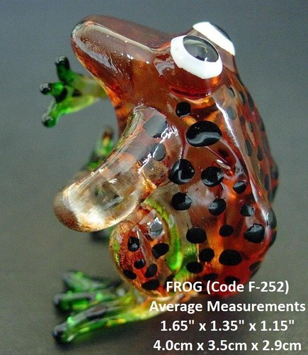 Multi glass frog - multi, beautiful