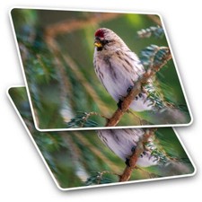 2 x Rectangle Stickers 10 cm -