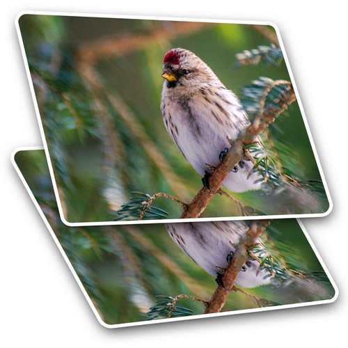 Rectangle stickers cm - 10,