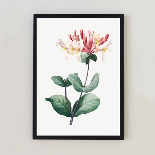 Vintage flower botanical - vintage,