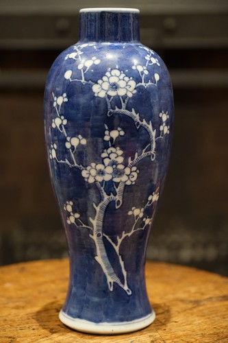 Chinese blue white prunus - chinese,