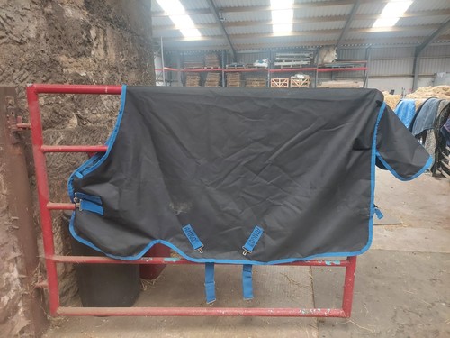 Amigo 50g turnout rug - 50g,