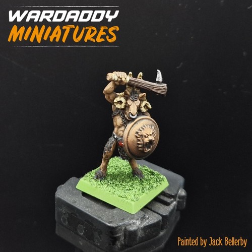 Pro painted warhammer fantasy - warhammer,