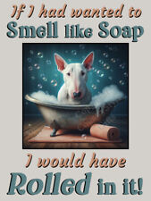 English Bull Terrier pet dog