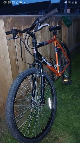 Raleigh firefly mountain - firefly,