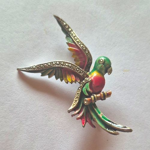 Parrot bird brooch pin - bird,