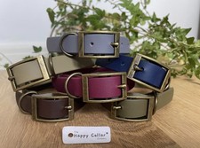 BioThane® Waterproof Dog