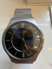Skagen Denmark Titanium Mens