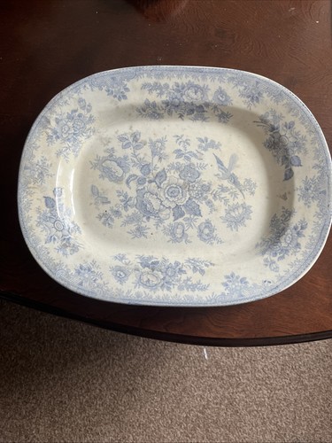 Asiatic pheasant meat plate - asiatic,