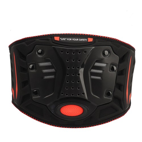 Professional motorcycle kidney - professional,