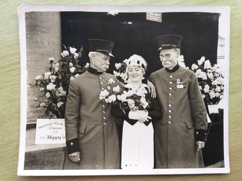 1931 national rose - rose, show