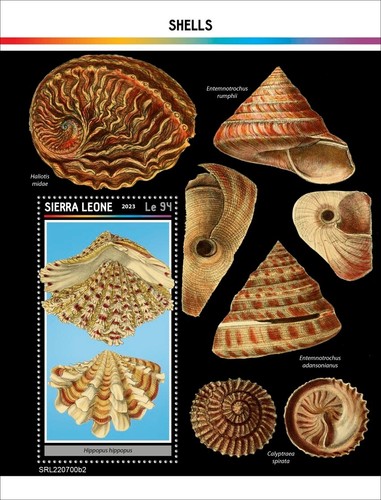 Shells mnh stamps 2023 sierra - shells,