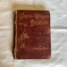 wayside and woodland blossoms