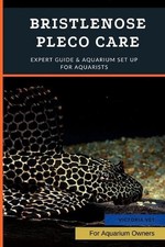 Bristlenose pleco care expert - bristlenose, care: