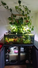 ??4ft x 2ft x 2ft Aquarium,600l Aquascape, Fish tank Complete Setup+!Extras!?