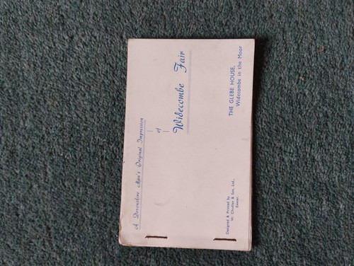 Sk309 widecombe fair souvenir - fair,