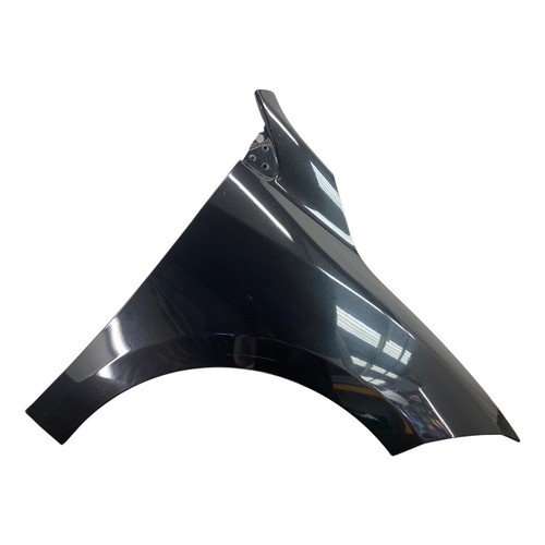 Renault megane mk3 front wing - front,