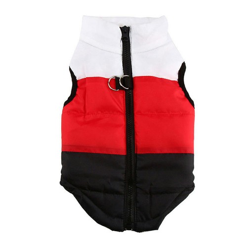 Pet dog cat puppy - pet, coat