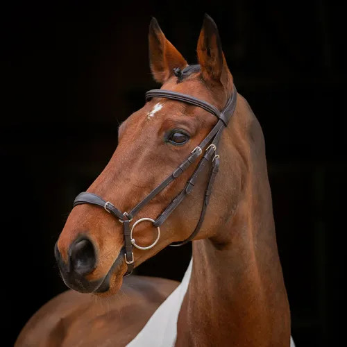 Shires velociti rapida drop - velociti,