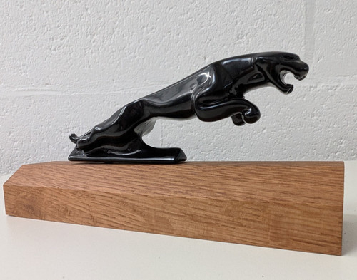 Rare black plasticoat jaguar - black,