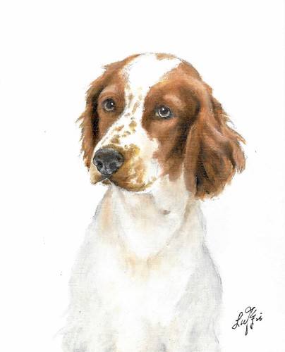 Original oil dog portrait - oil,