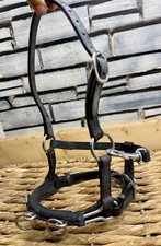 Miniature Horse/Mini Shetland