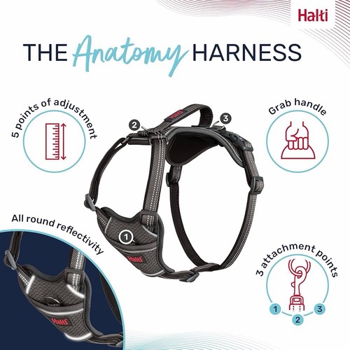 New halti anatomy dog - anatomy,