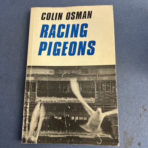 Racing pigeons colin man - pigeons, is