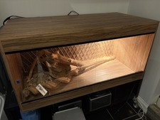Reptile Vivarium Setup 4x2x2