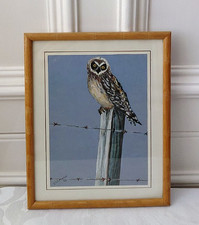 Artist Signed Vintage 1996 Owl