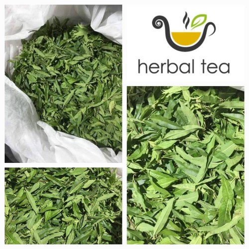 100 lemon verbena 30g new - lemon,