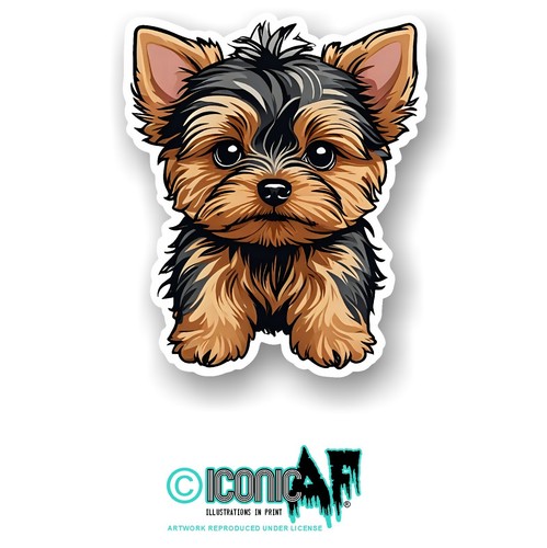 Cute yorkshire terrier - yorkshire, yorkie