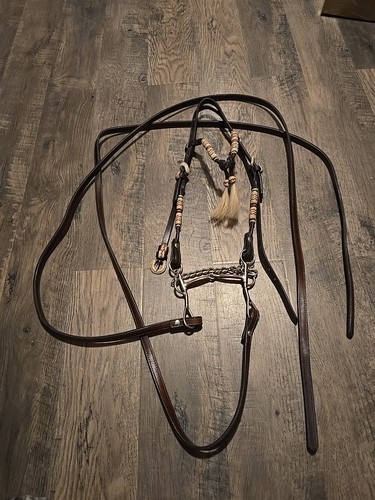 Western bridle and reins - western,