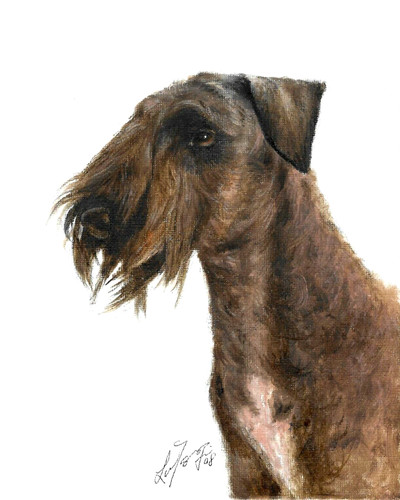 Original oil dog portrait - ✤,