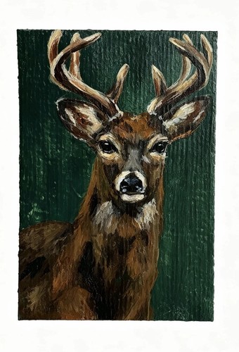 Aceo deer stag - aceo,