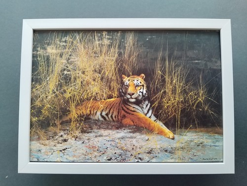 David shepherd print - david,