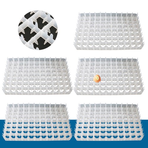 Egg hatching incubator - incubator, trays