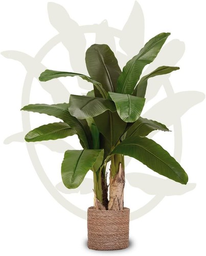 Artificial plant banana tree - plant,