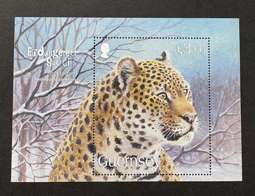 Guernsey 2009 mnh - mnh, miniature