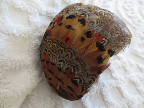 Vintage 1950 pheasant - vintage, 1950-60's