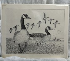 Vintage Art Print Pair Of Wild