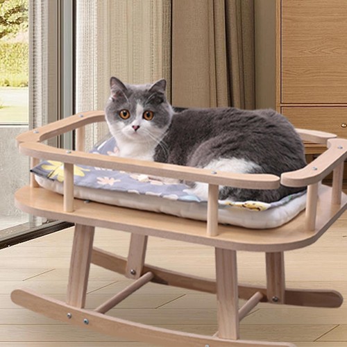 Cat bed and small - cat,