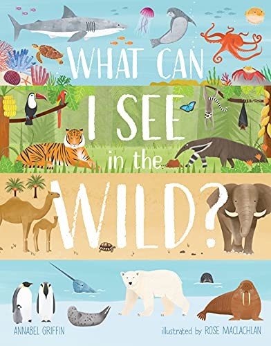 What can see - can, the